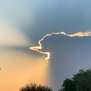 Meet your Posher, Larry